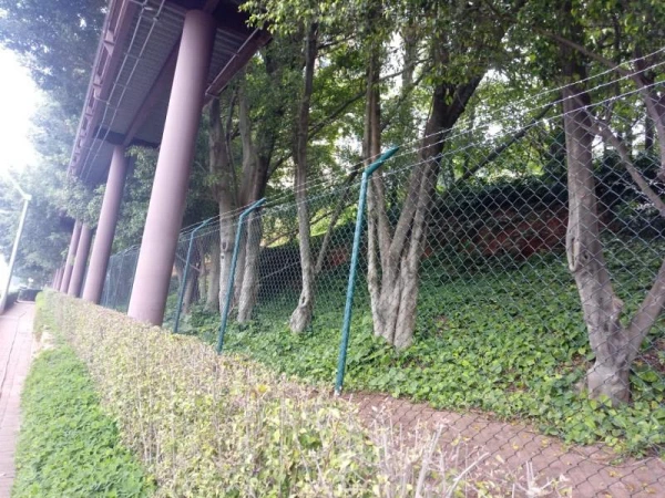 Imagem ilustrativa de Alambrado verde preço