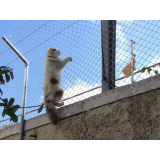 instalação de cercas e telas para animais Penha