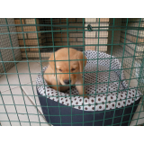 quanto custa tela de segurança para animais Ponte Rasa