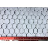 Tela Hexagonal para Construção